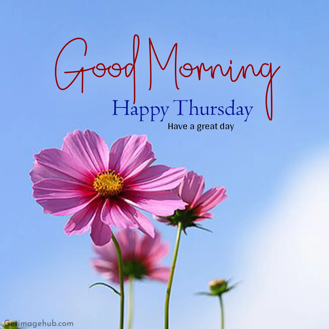 Happy Thursday Good Morning Image