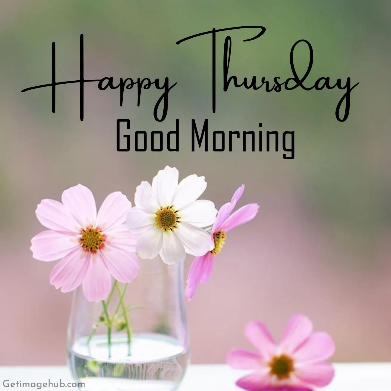 Happy Thursday Good Morning