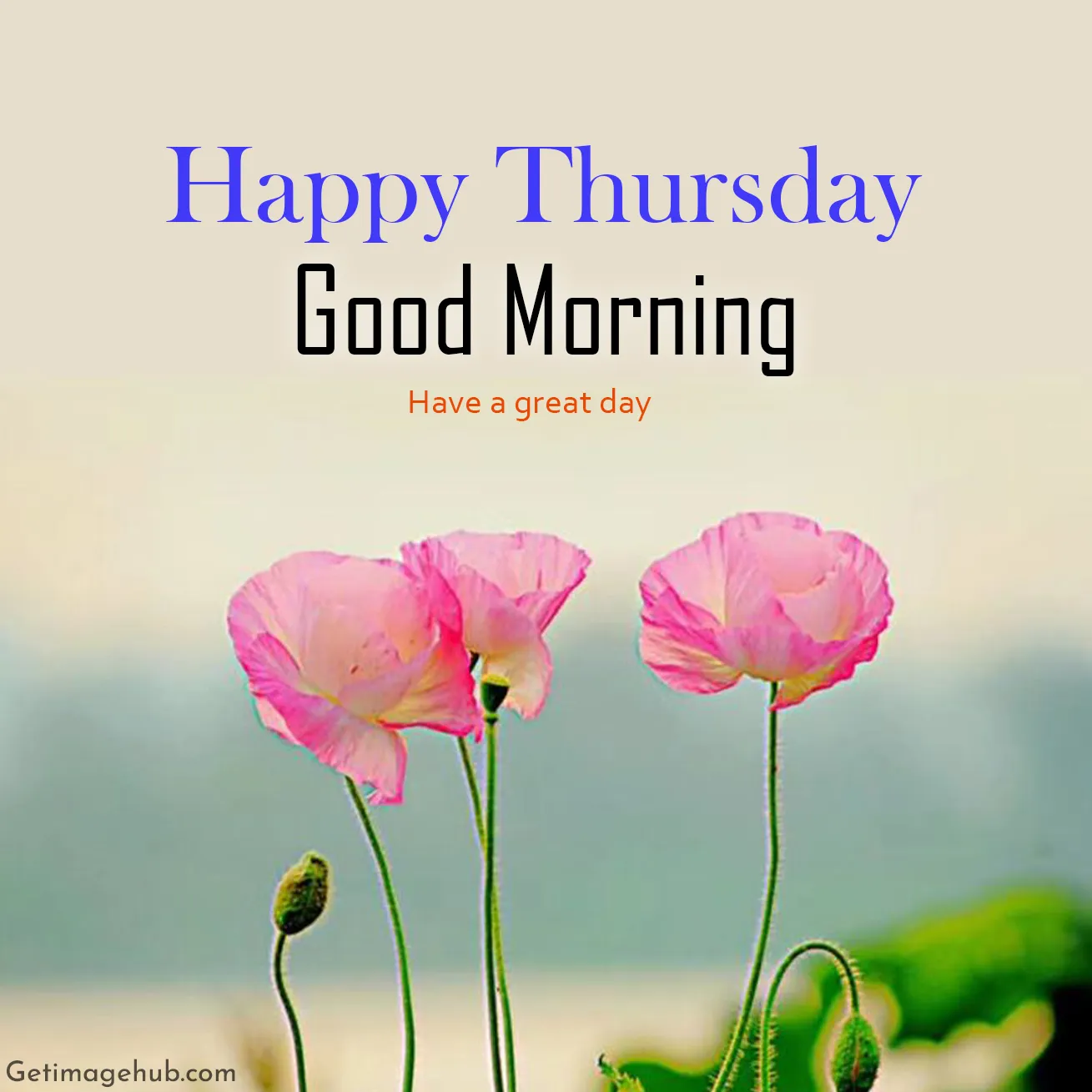 Thursday Good Morning Image