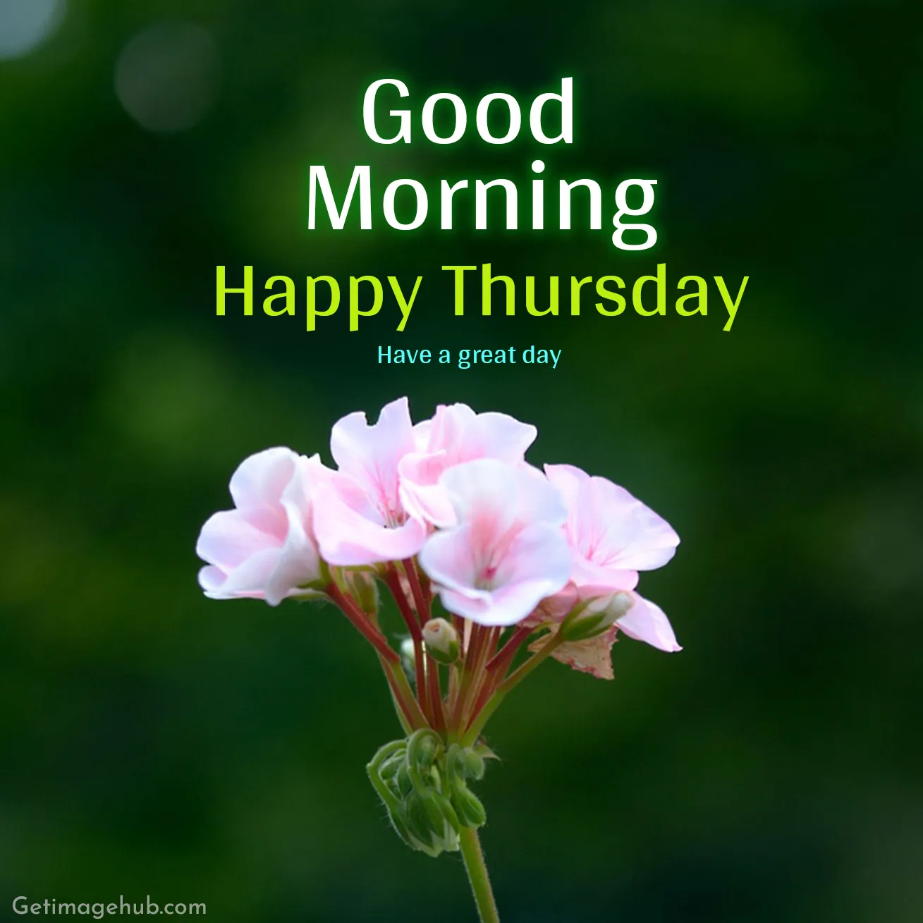 Thursday Good Morning Images
