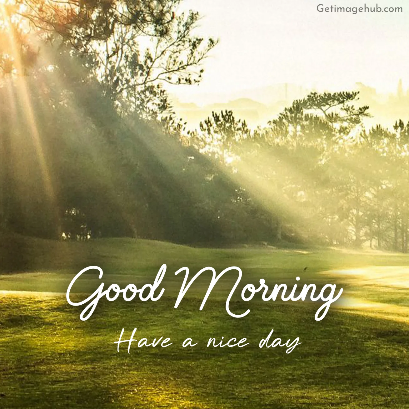 Thursday Good Morning Images