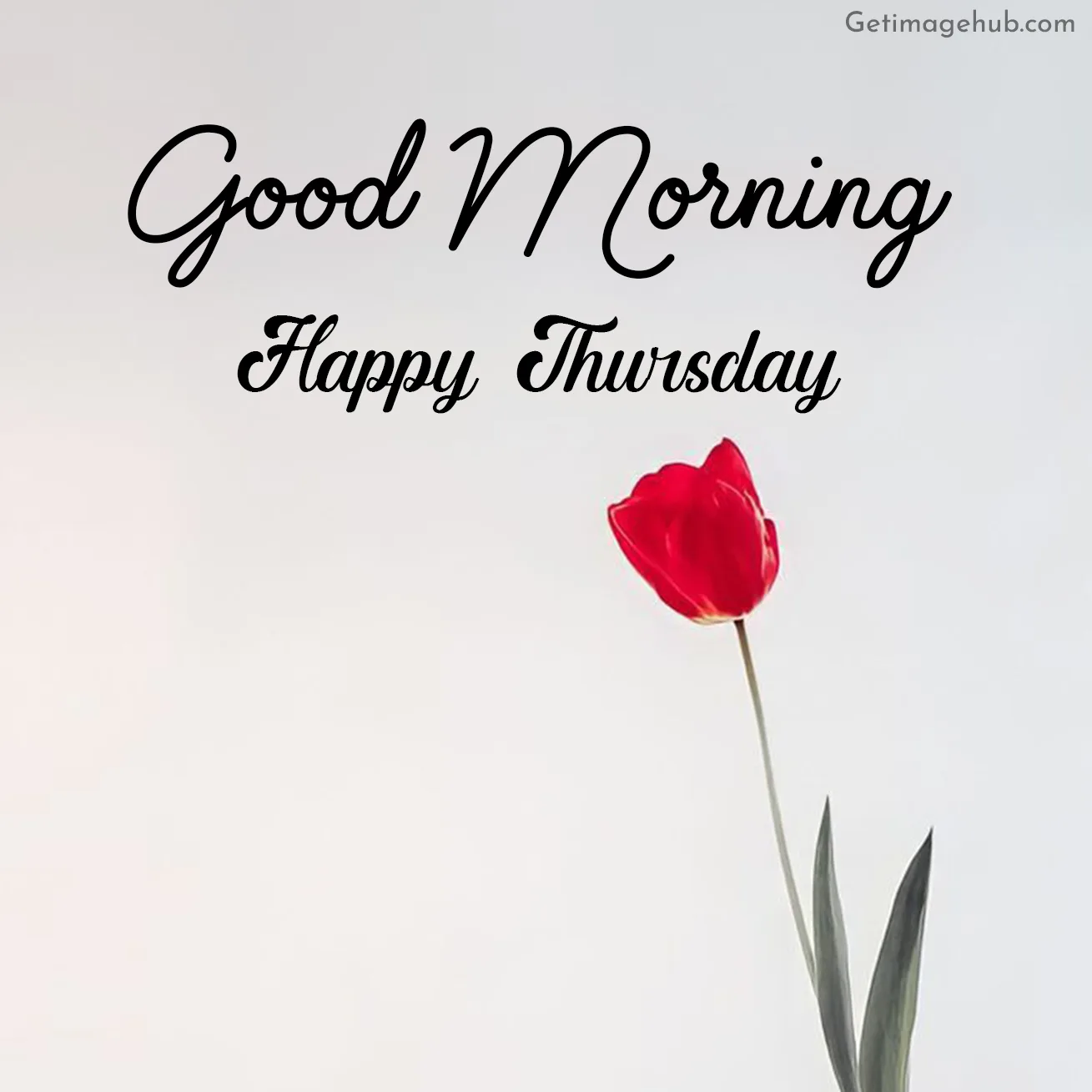 Thursday Good Morning Pic