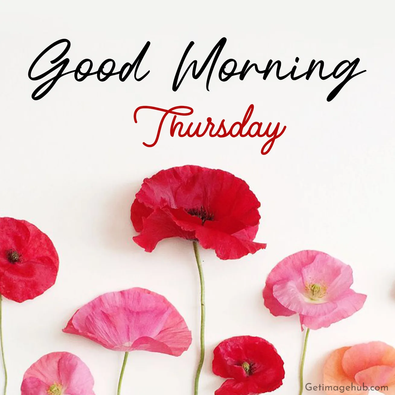 Thursday Good Morning Pic