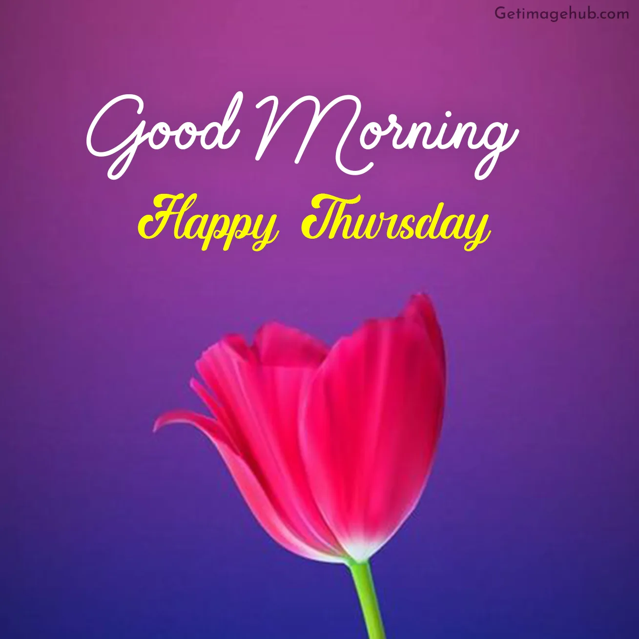 Thursday Good Morning Pictures HD