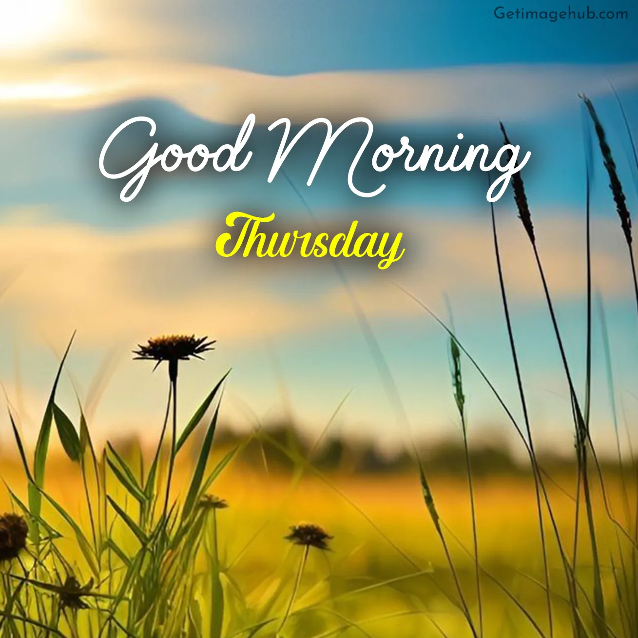 Thursday Good Morning Pictures