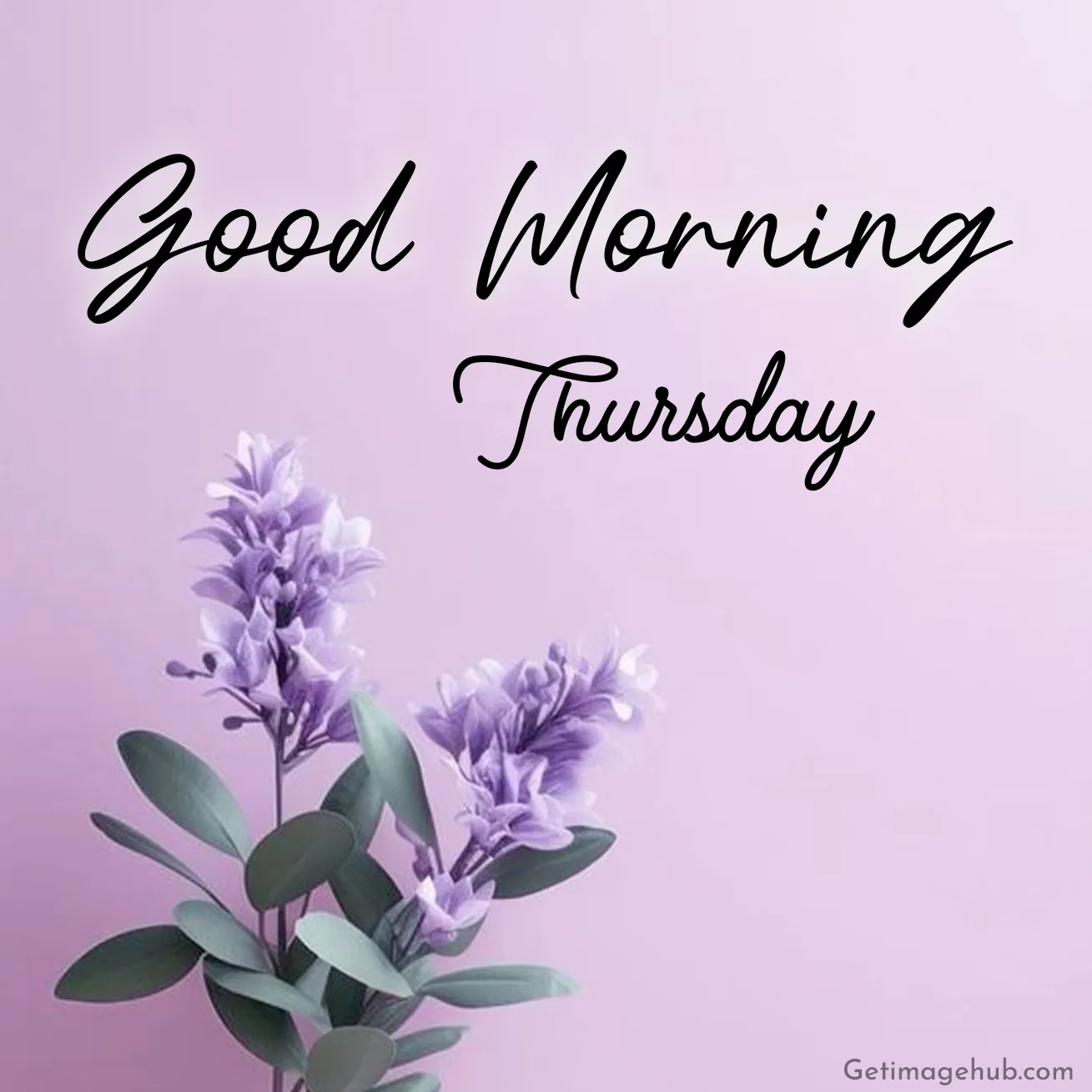 Thursday Good Morning