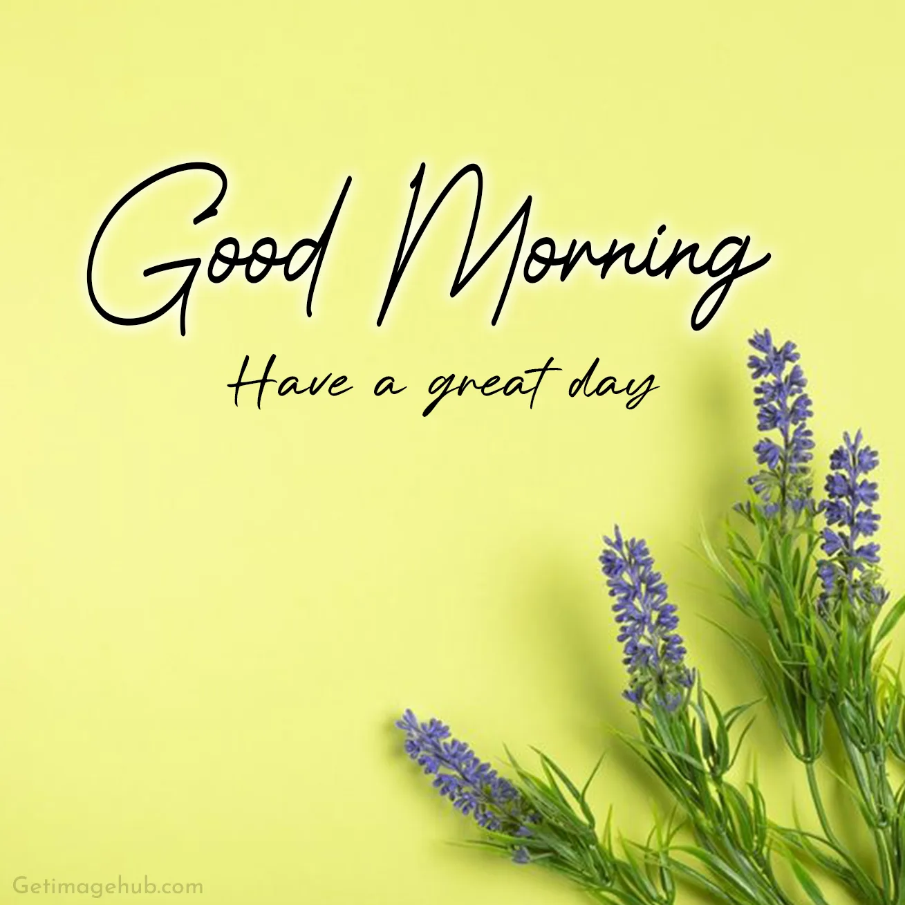 Thursday Morning Images