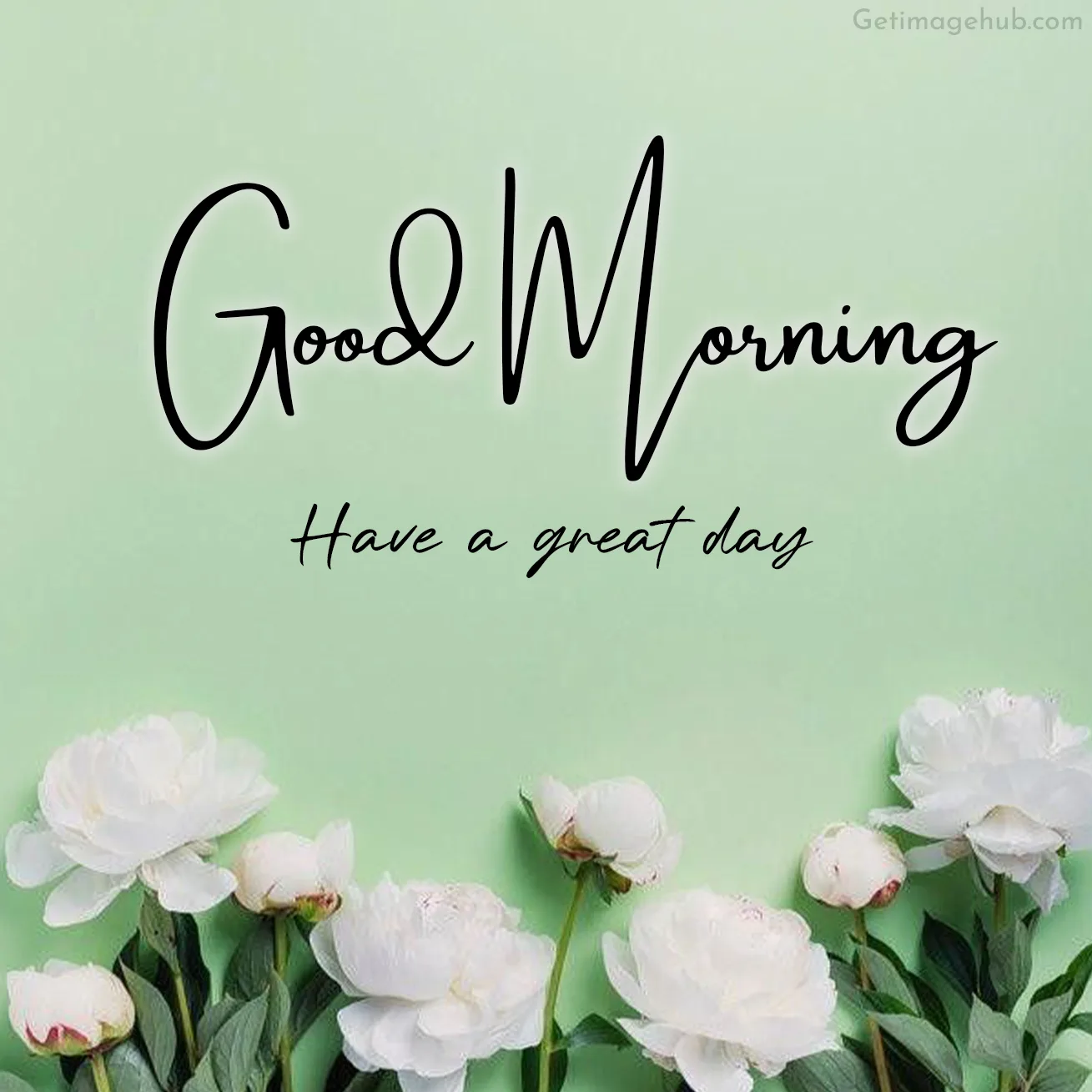 Thursday Morning Pictures