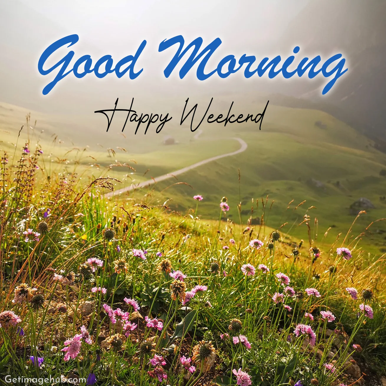 Good Morning Happy Weekend Images