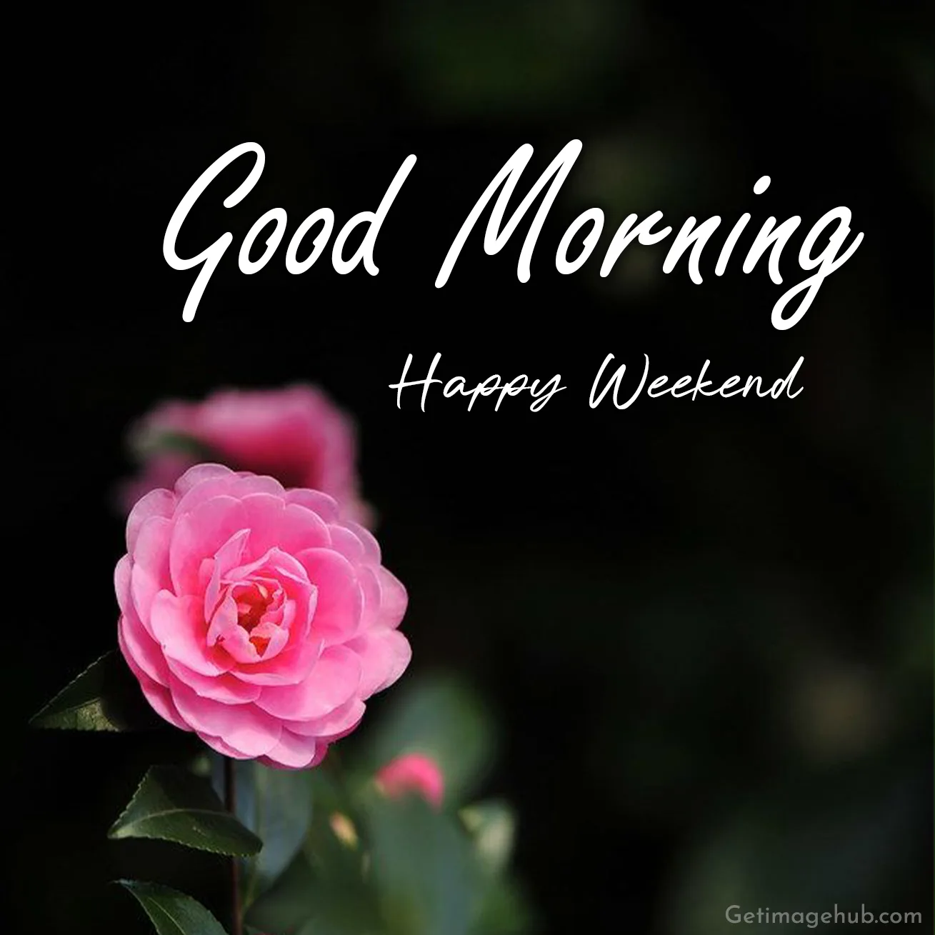 Good Morning Happy Weekend
