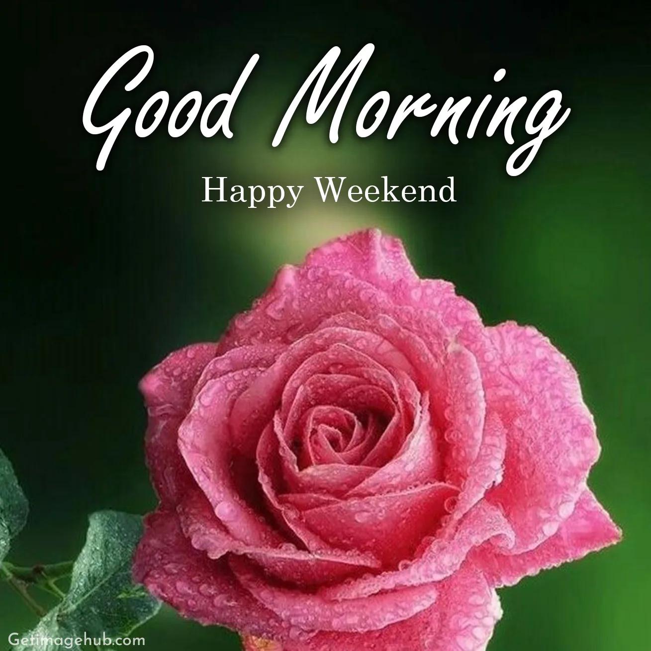 Happy Weekend Good Morning