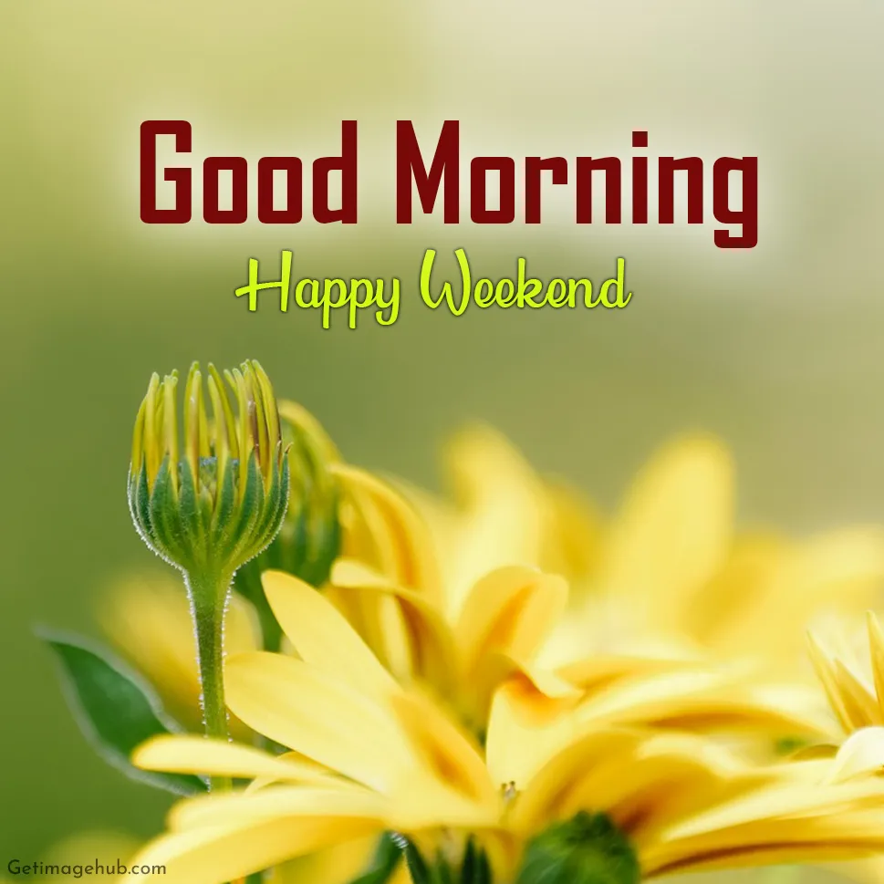 Happy Weekend Good Morning Image