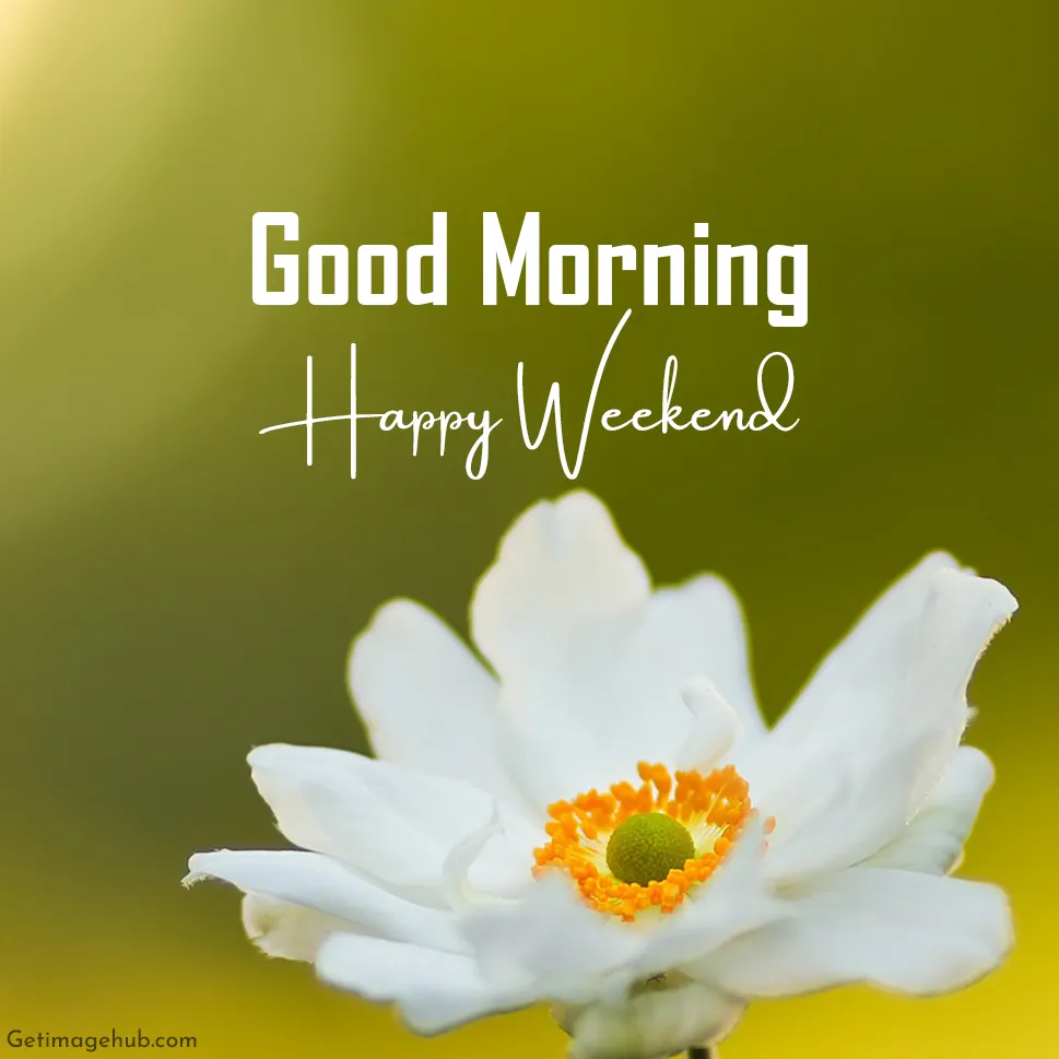 Happy Weekend Good Morning Pic