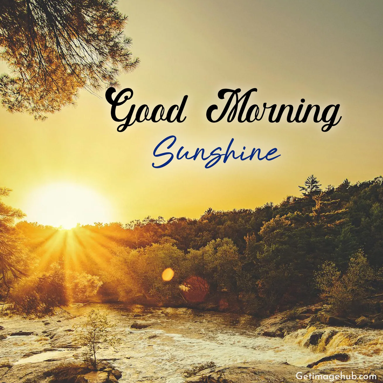 Good Morning Sunshine Images