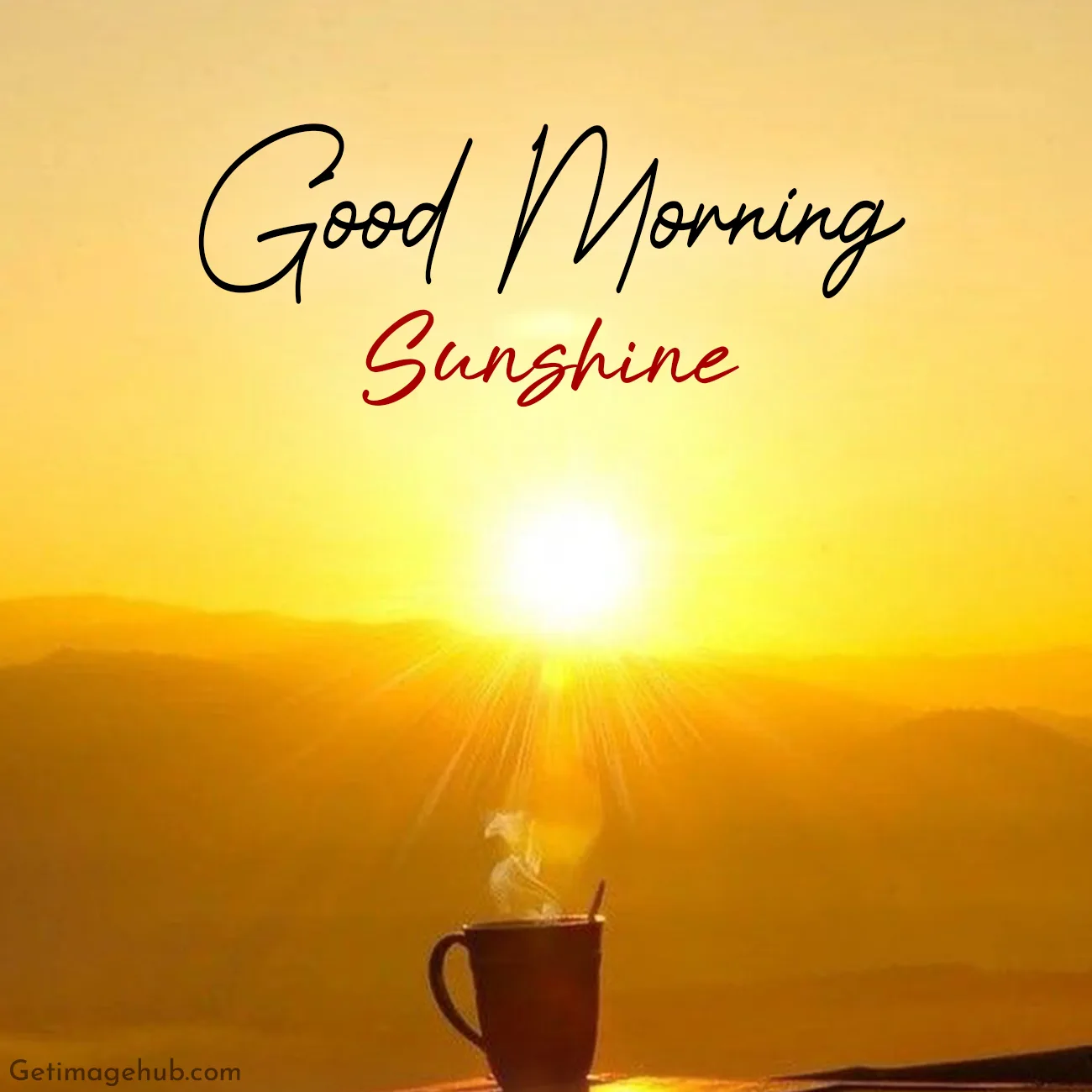 Good Morning Sunshine Photos