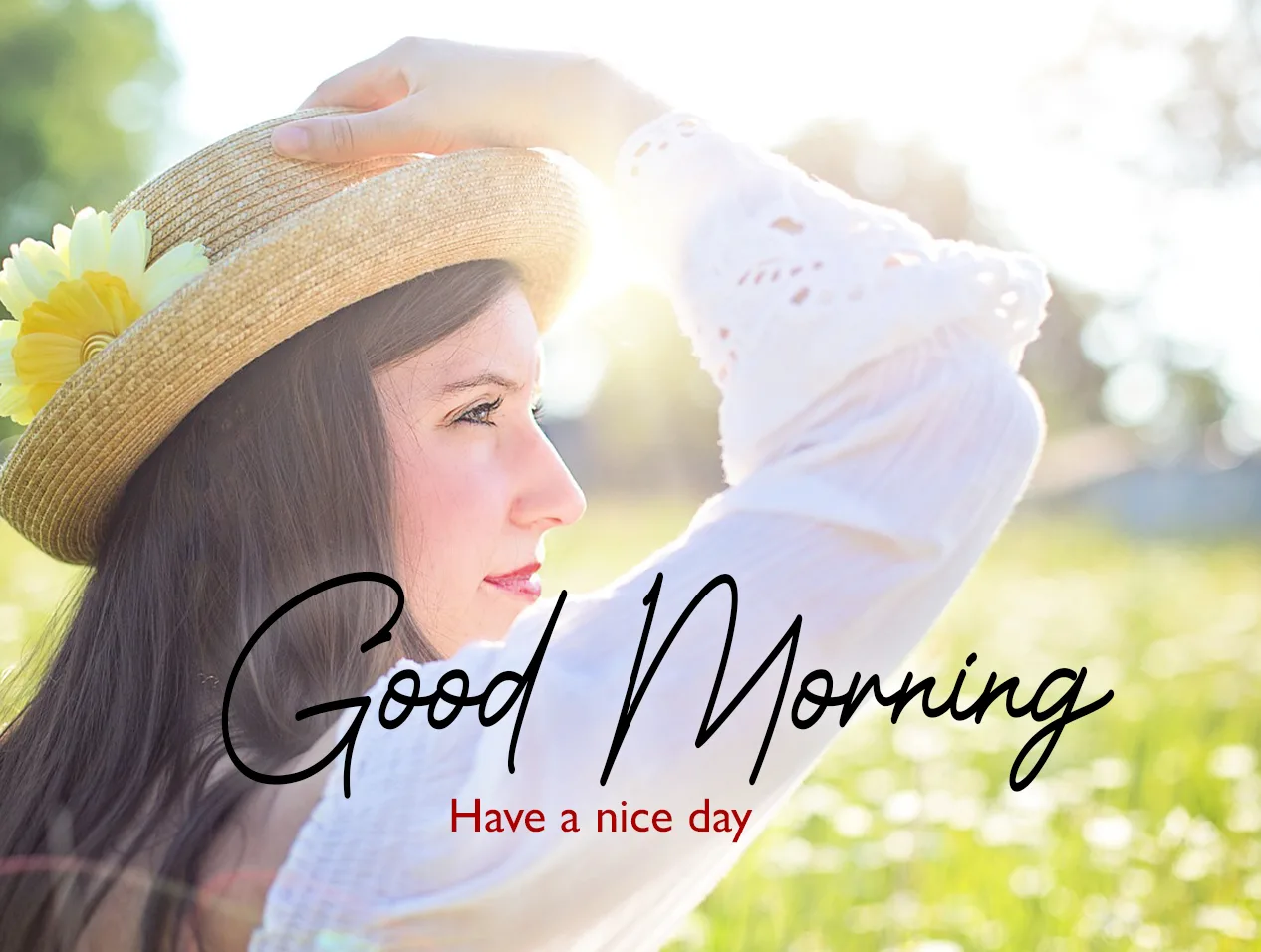 Good Morning Sunshine Pictures HD