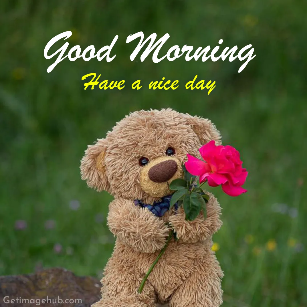 Good Morning Teddy Bear Pic