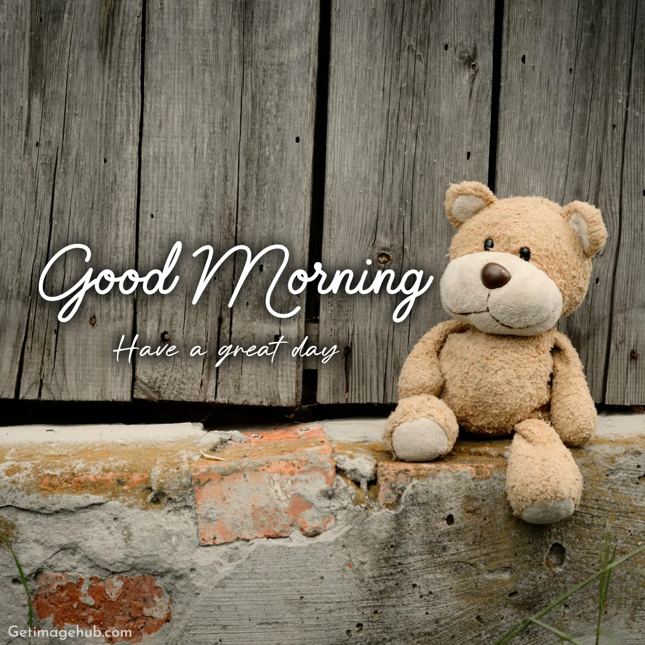 Good Morning Teddy Image