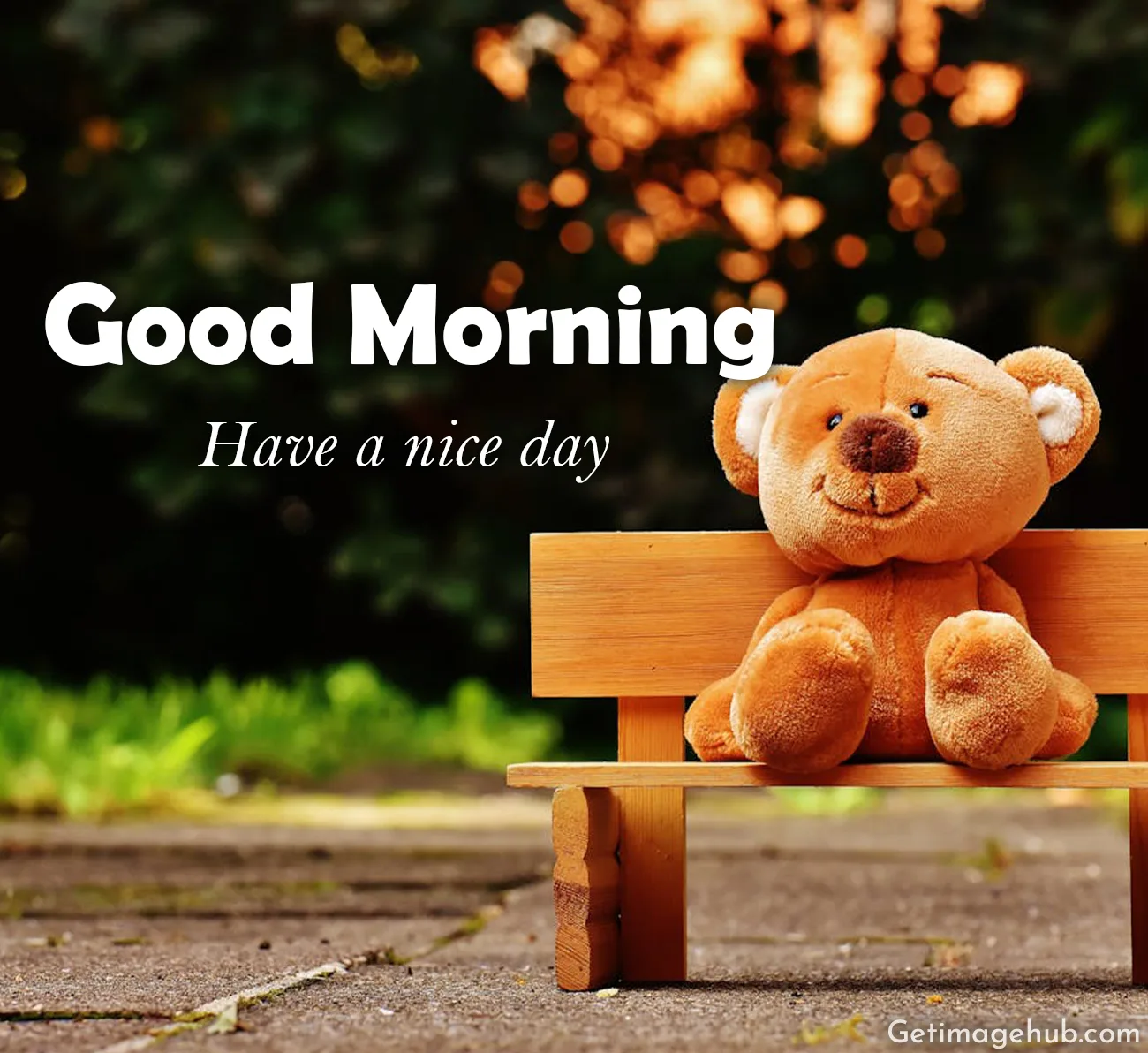 Good Morning Teddy Images 2024