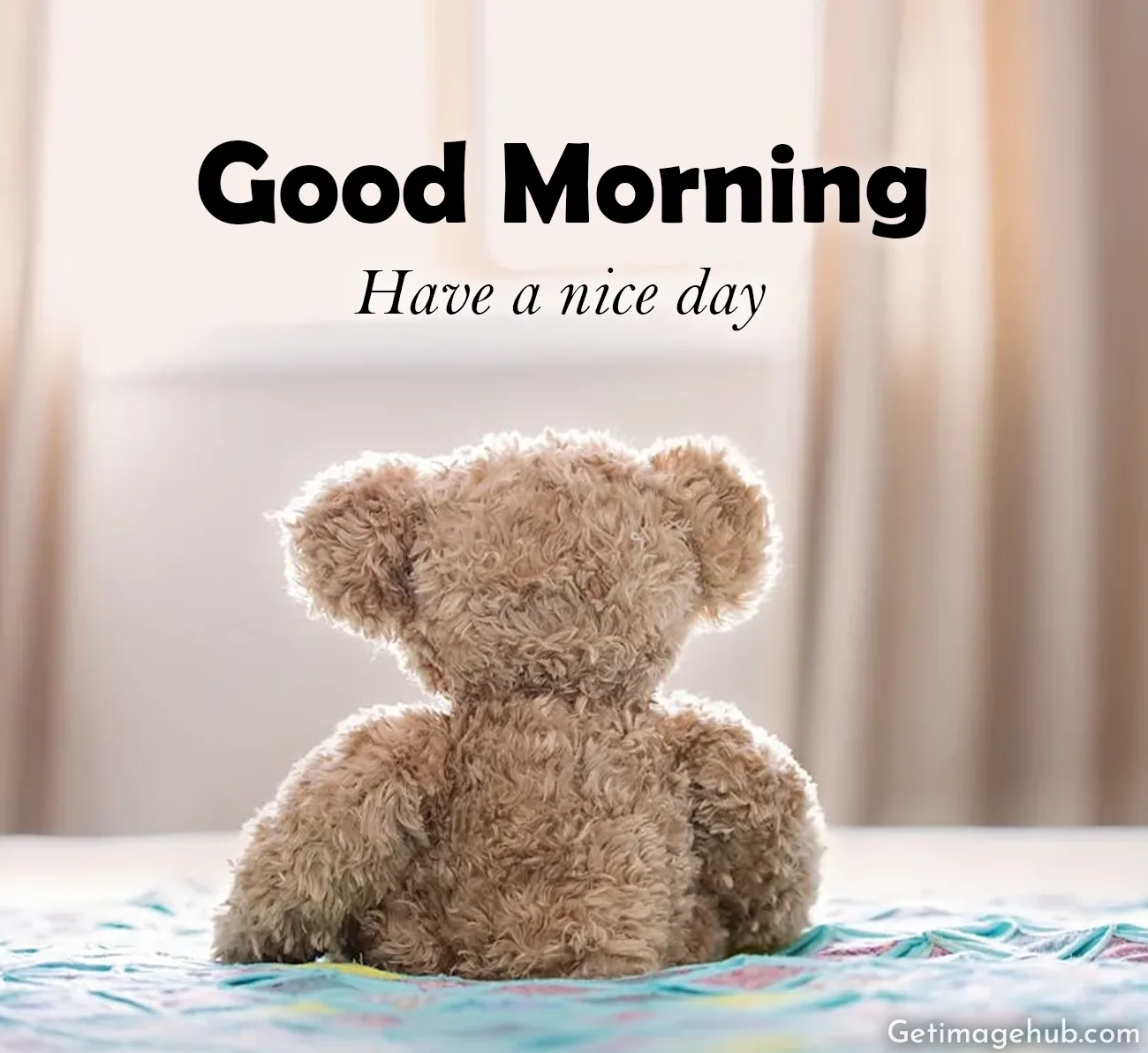 Good Morning Teddy Pics