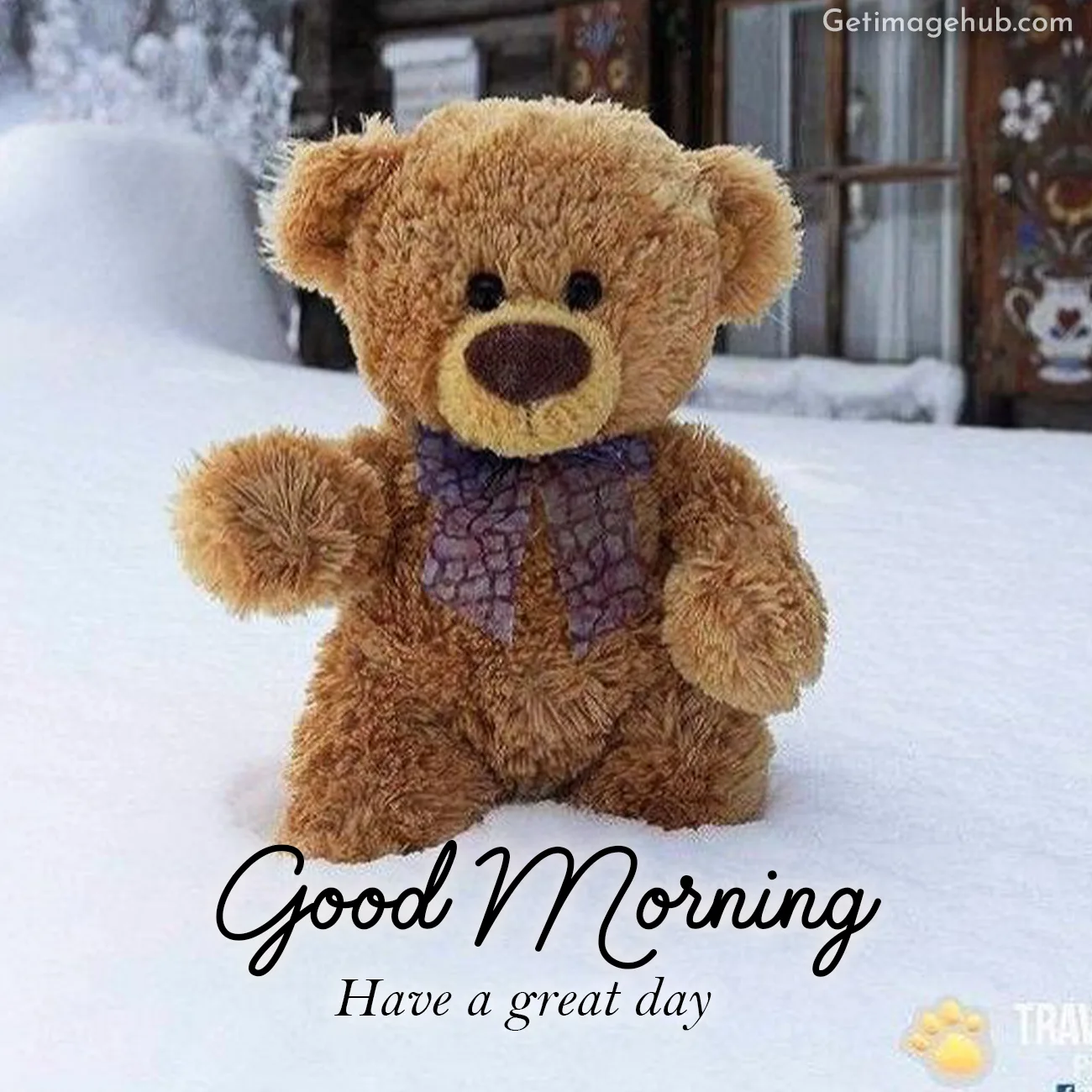 Good Morning Teddy Picture HD