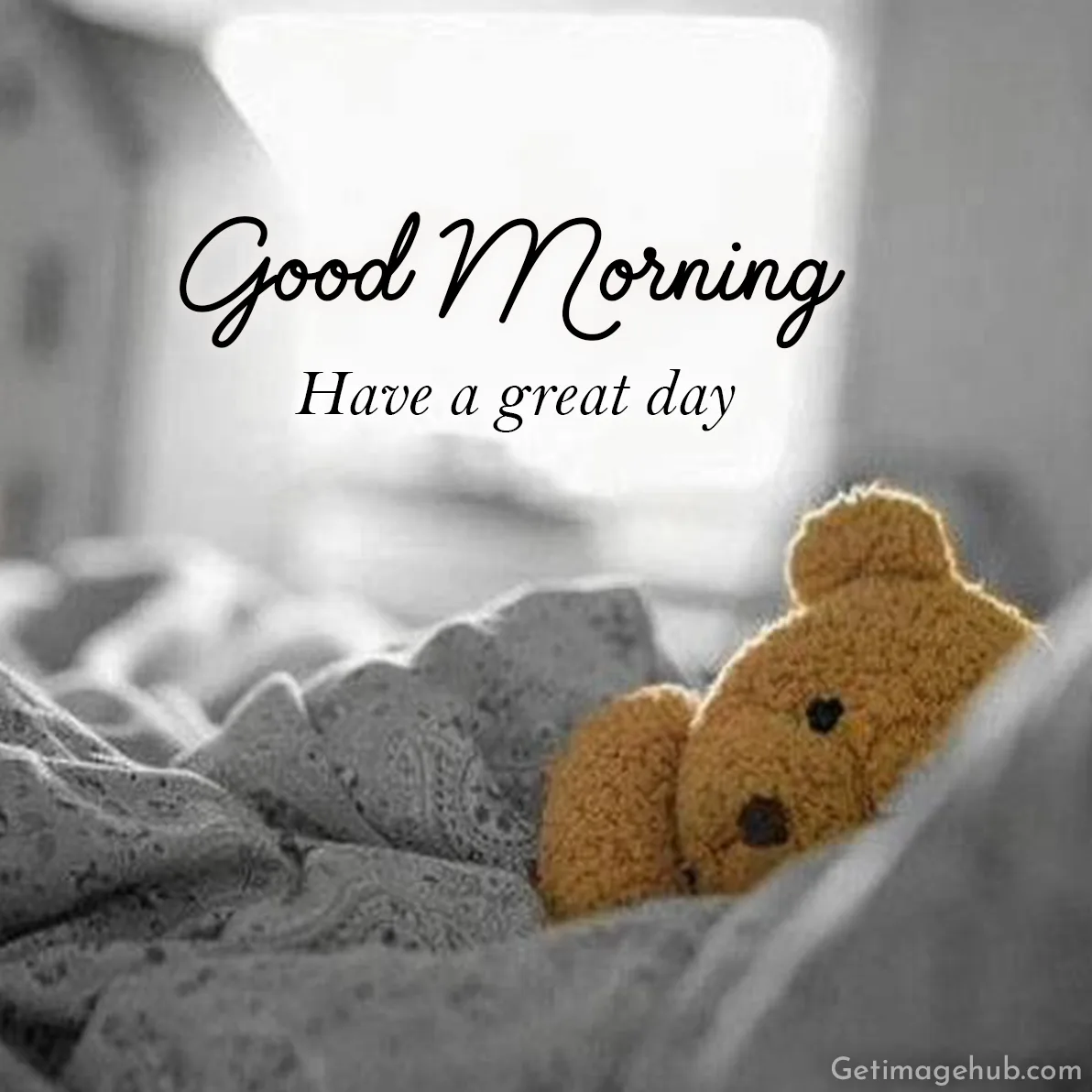 Good Morning Teddy Picture